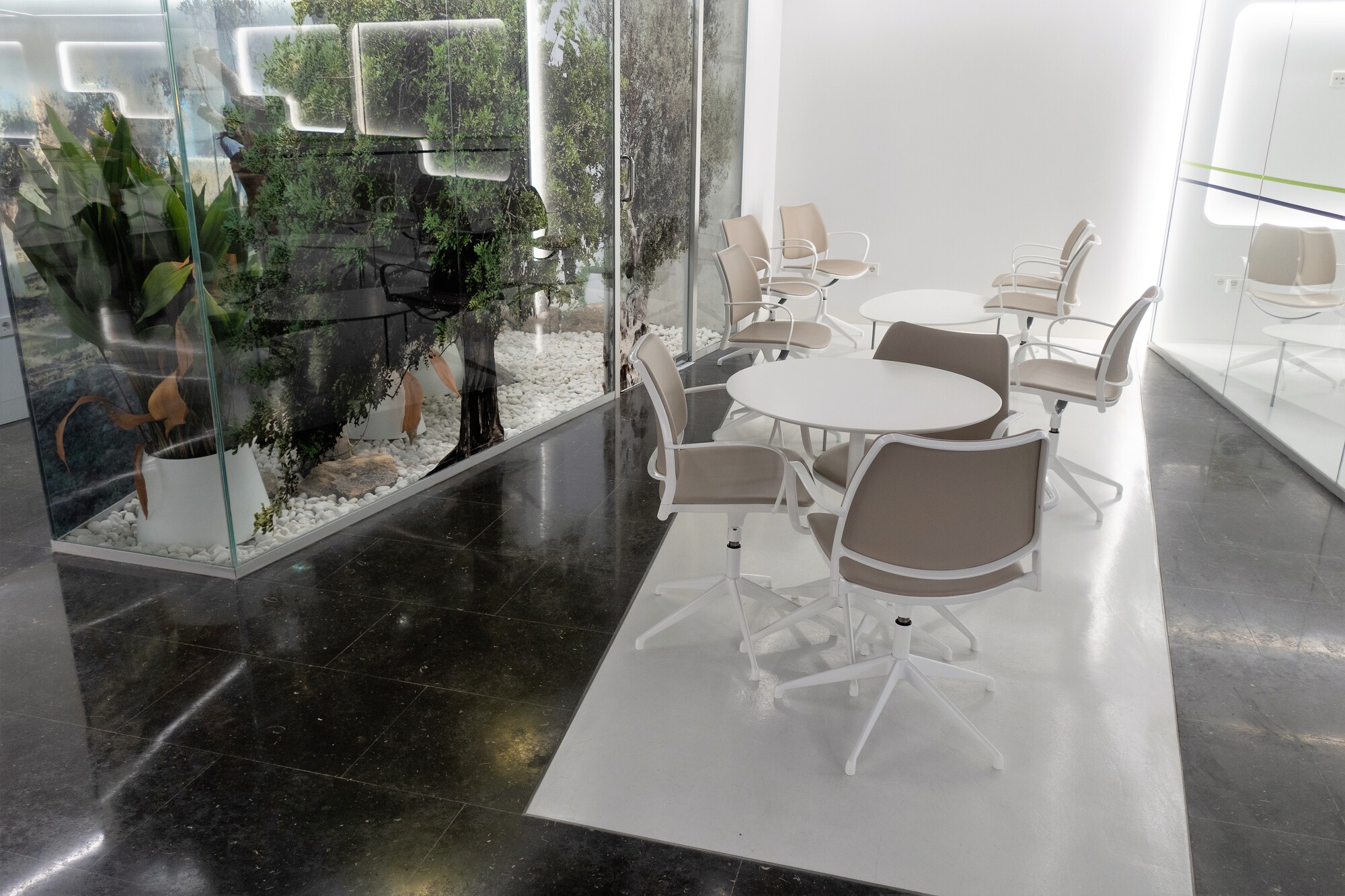 #1 of 5 images of Sala VIP Formentor (Temporarily Closed)