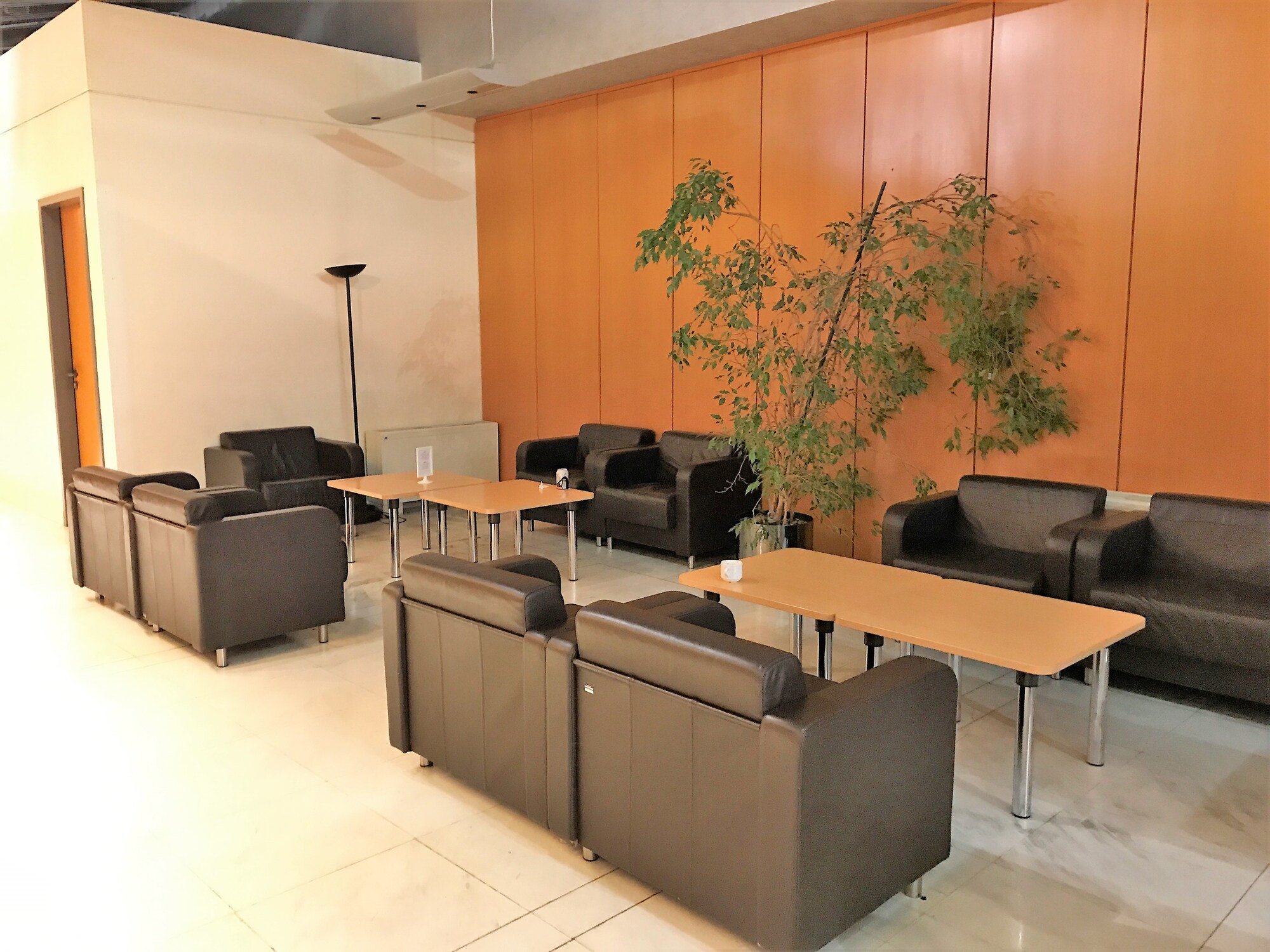 #2 of 5 images of Skyserv Melina Merkouri Lounge