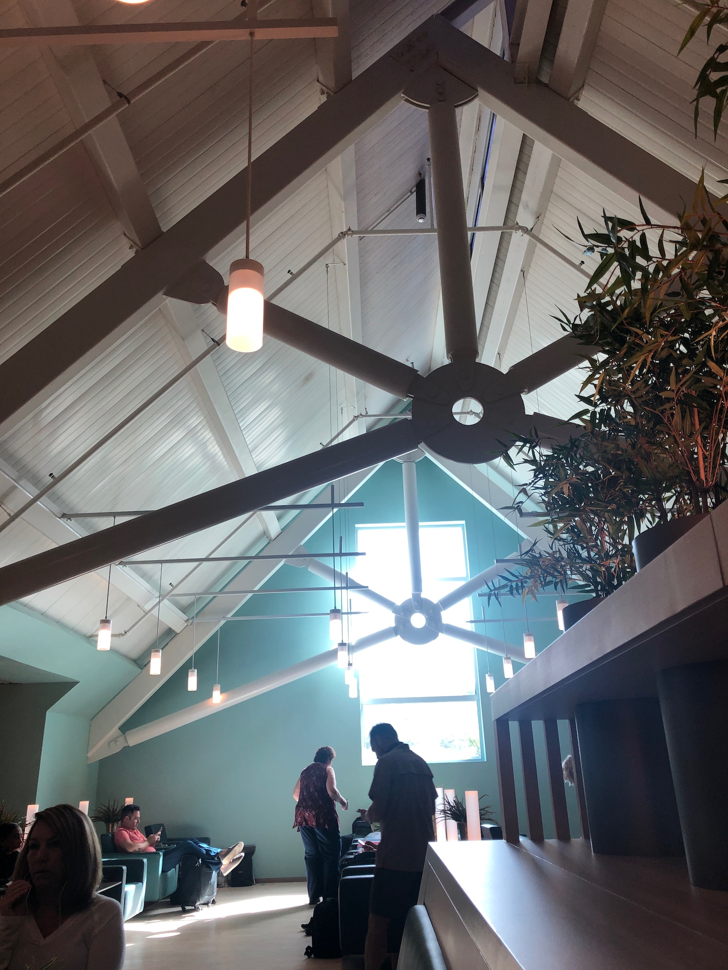 #2 of 4 images of VIP Lounge