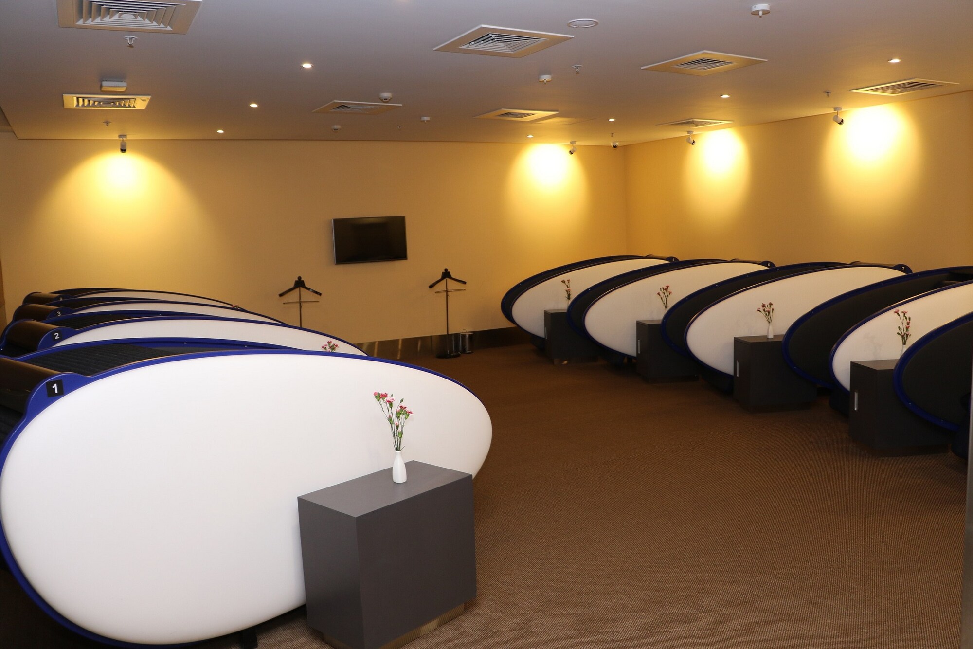 #2 of 5 images of Aviserv Lounge
