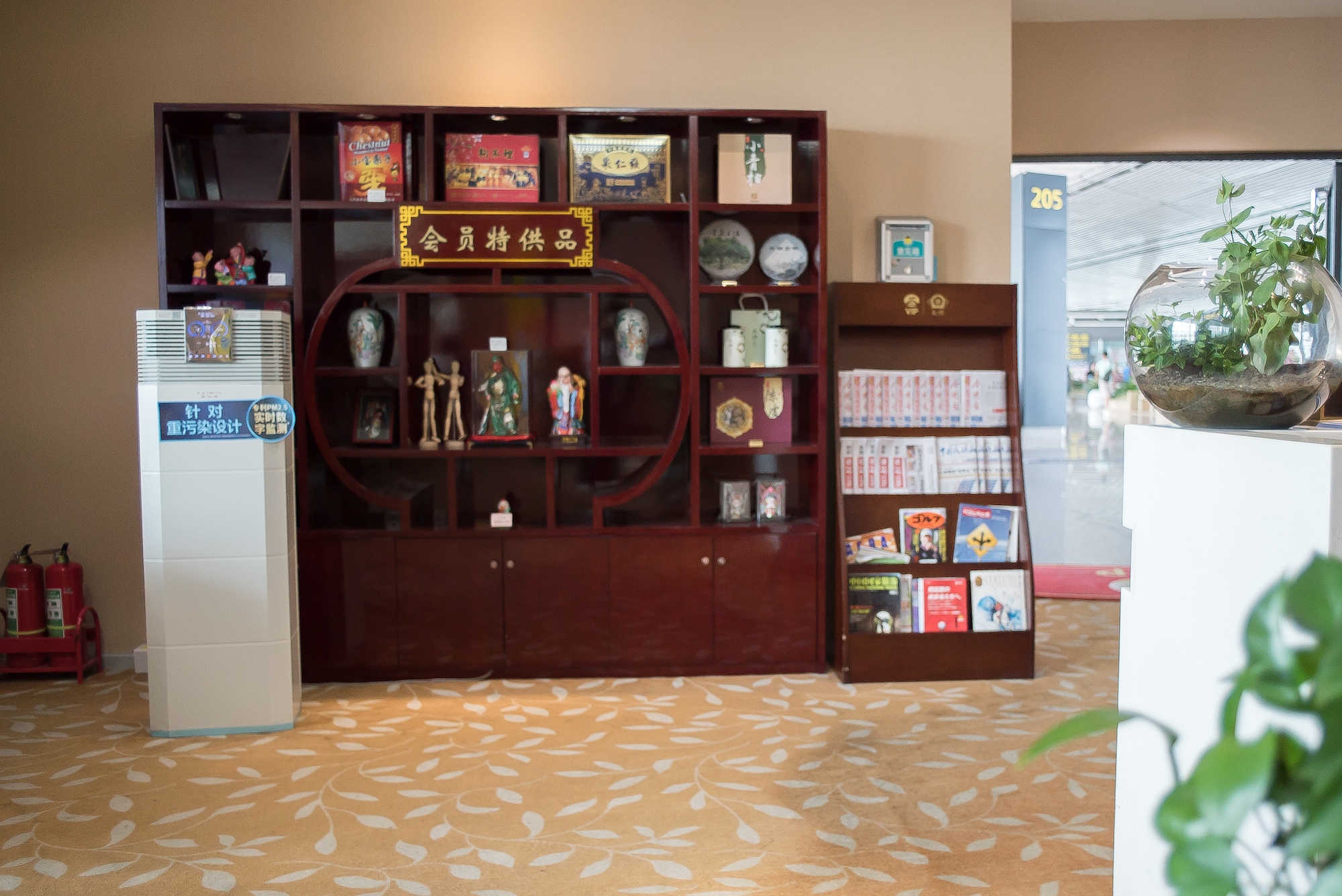 #3 of 5 images of First Class Lounge (No. 13)