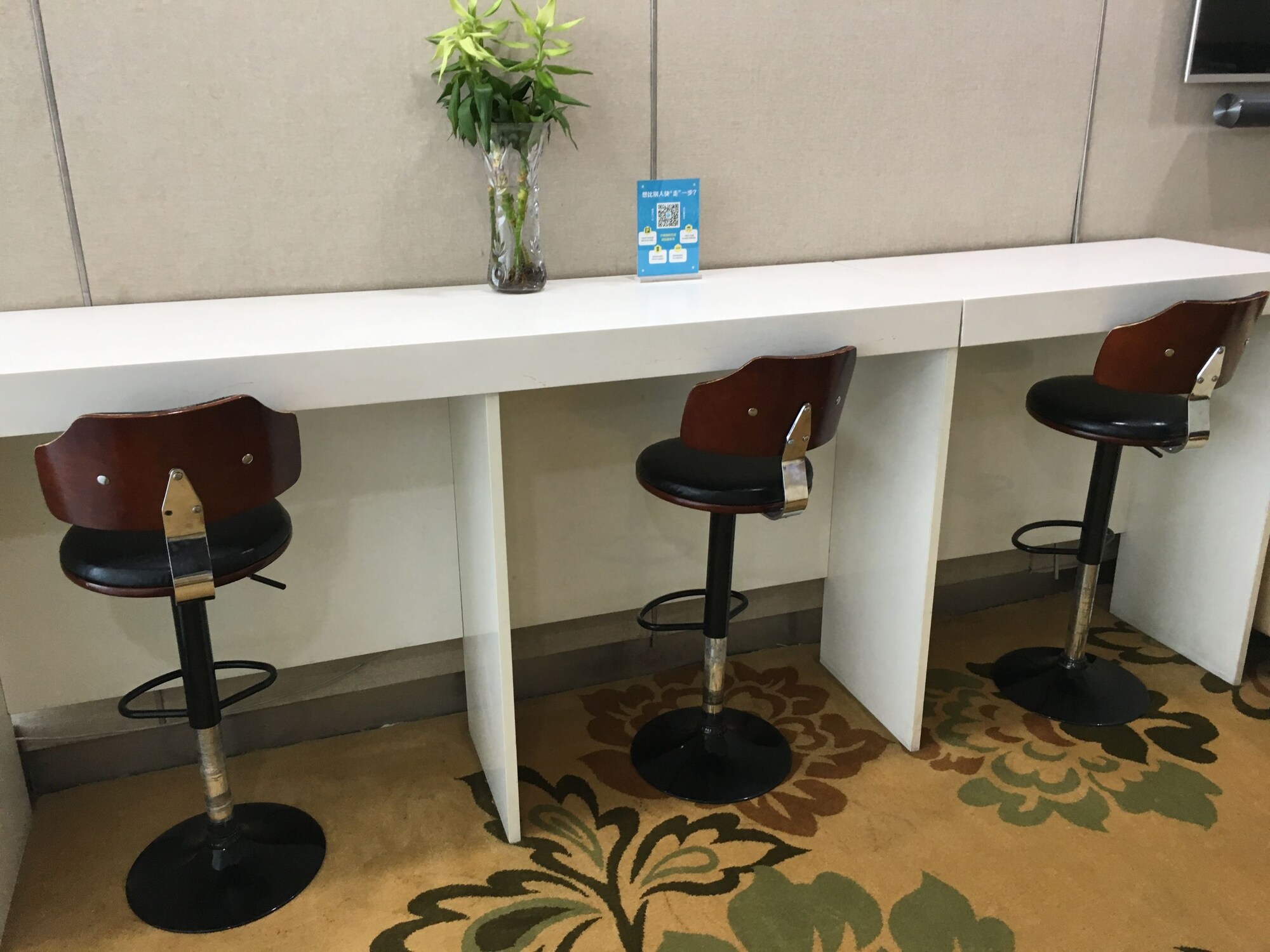 #3 of 5 images of First Class Lounge 5