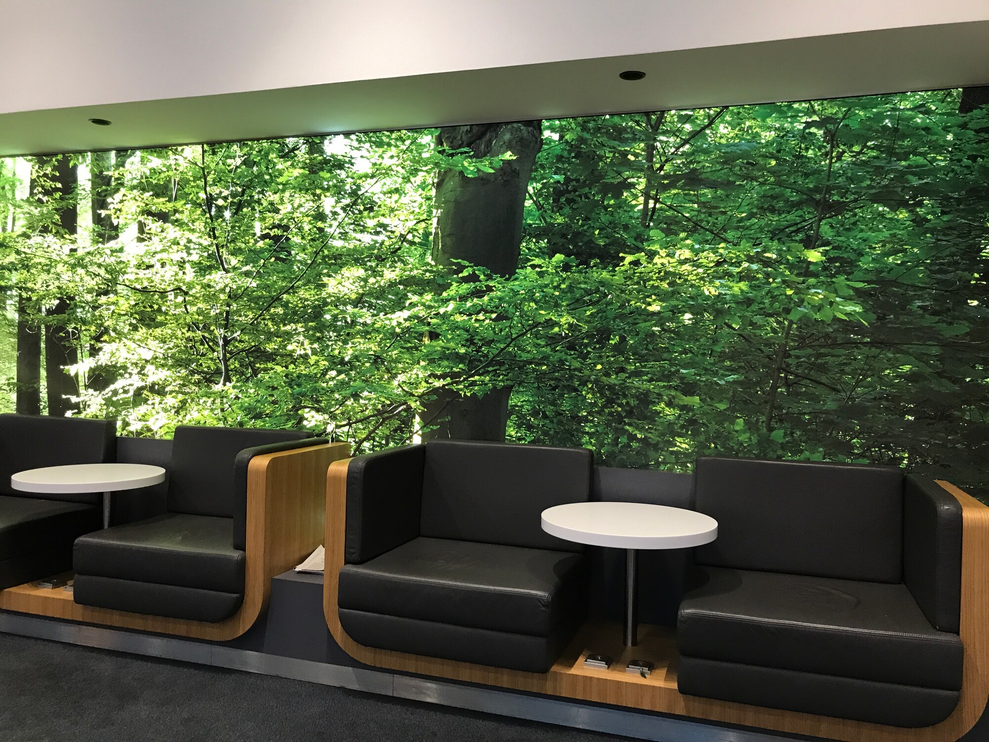 #1 of 5 images of Lufthansa Senator Lounge (Schengen) (Temporarily Closed)