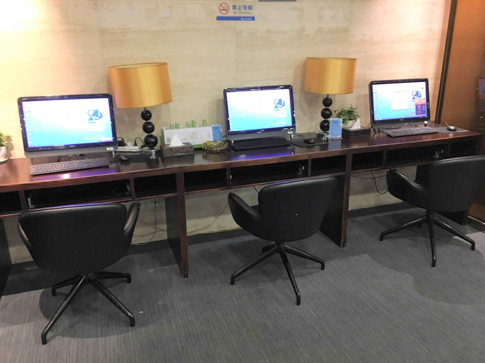 #3 of 5 images of Domestic First Class Lounge 1